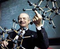 ولد الفزيائي والكميائي الأمريكي لينوس باولنغ Linus Pauling
