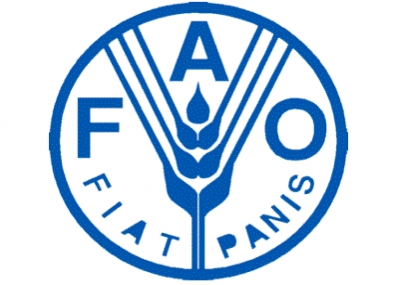 تأسيس منظمة الأغذية والزراعة FAO