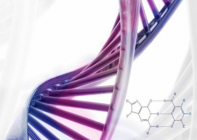 إكتشاف الحمض النووي DNA